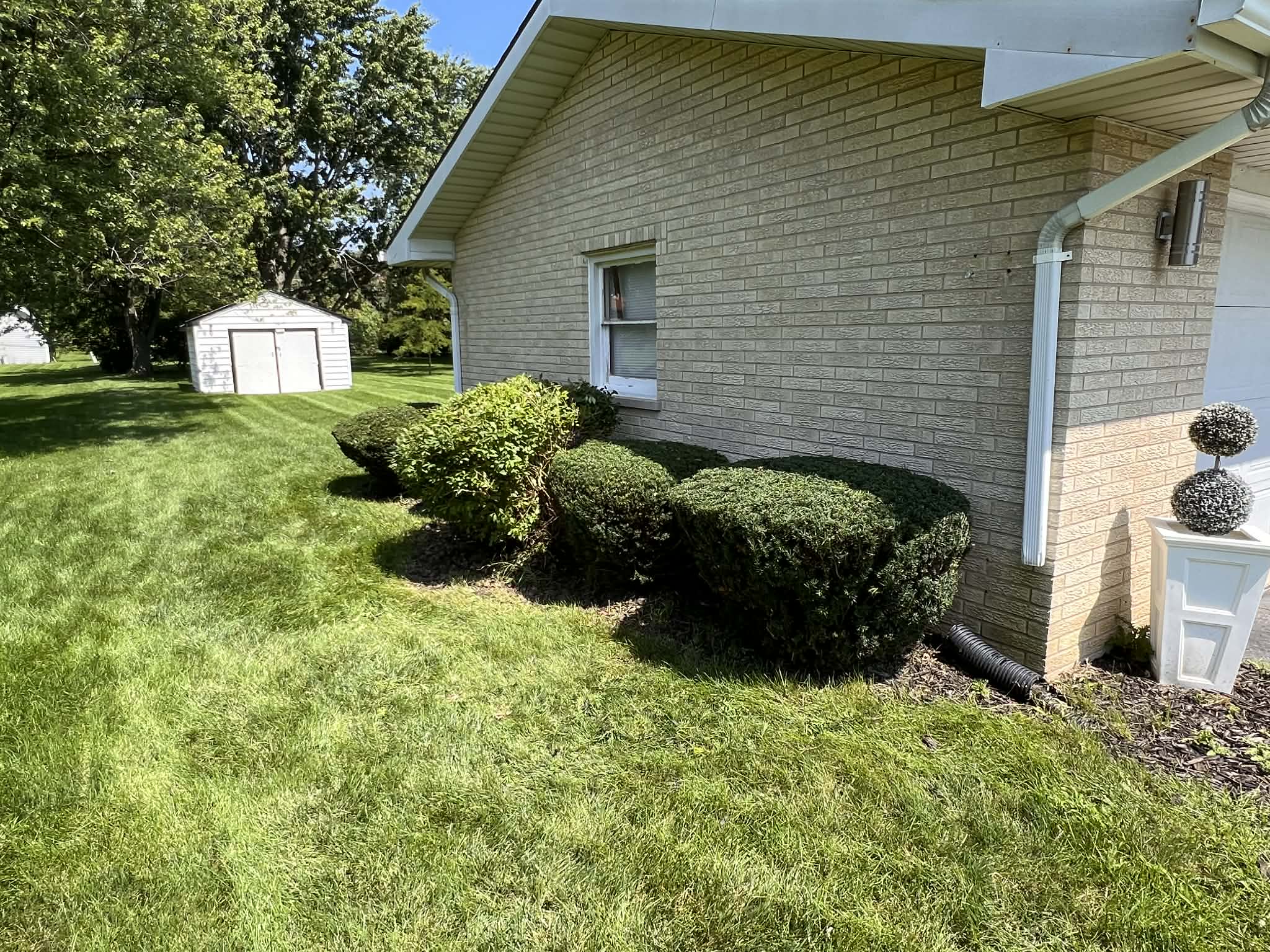 Lush green lawn maintenance