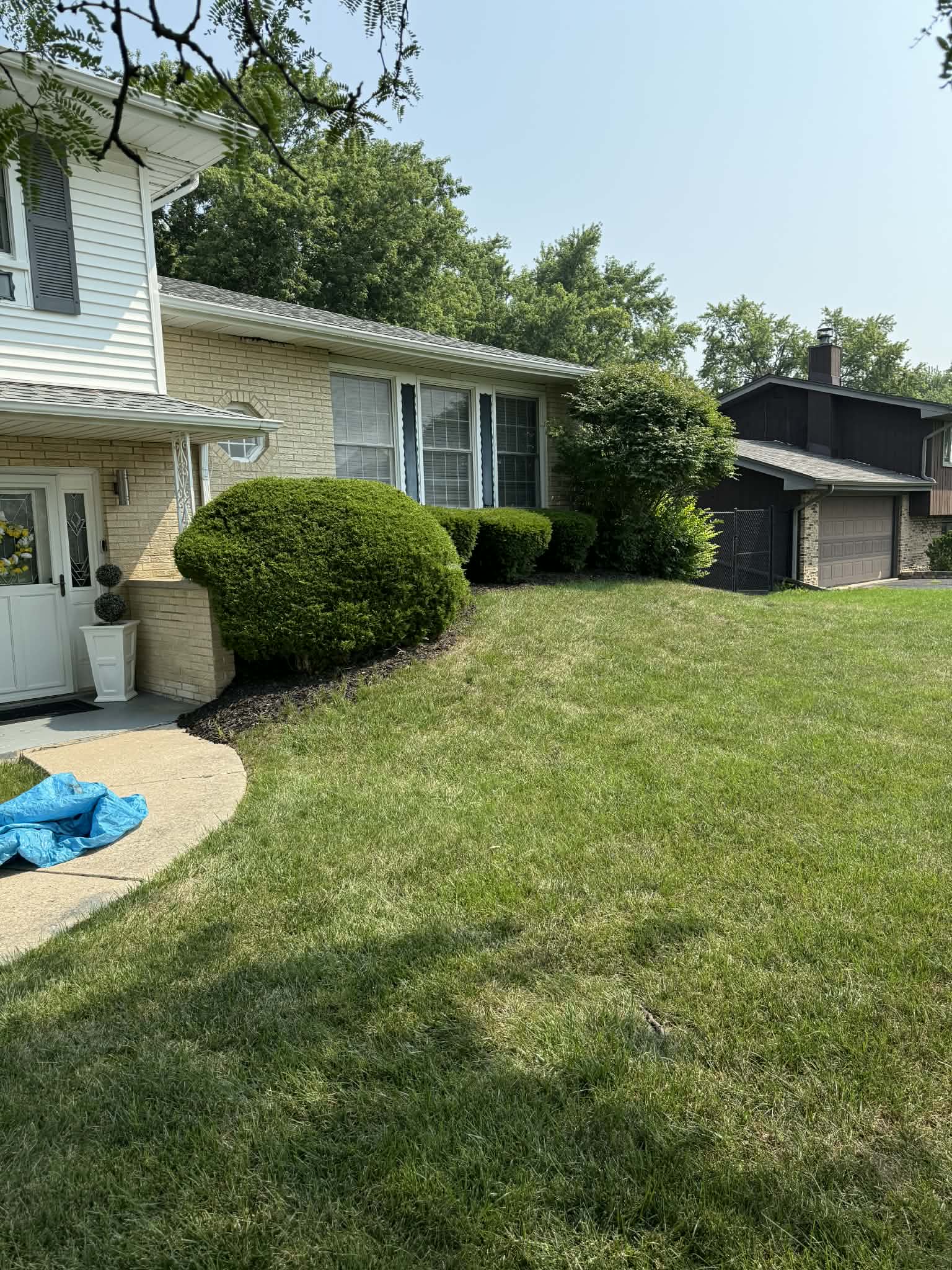 Lush green lawn maintenance